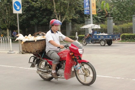 Pekingenten auf dem Weg zum Restaurant